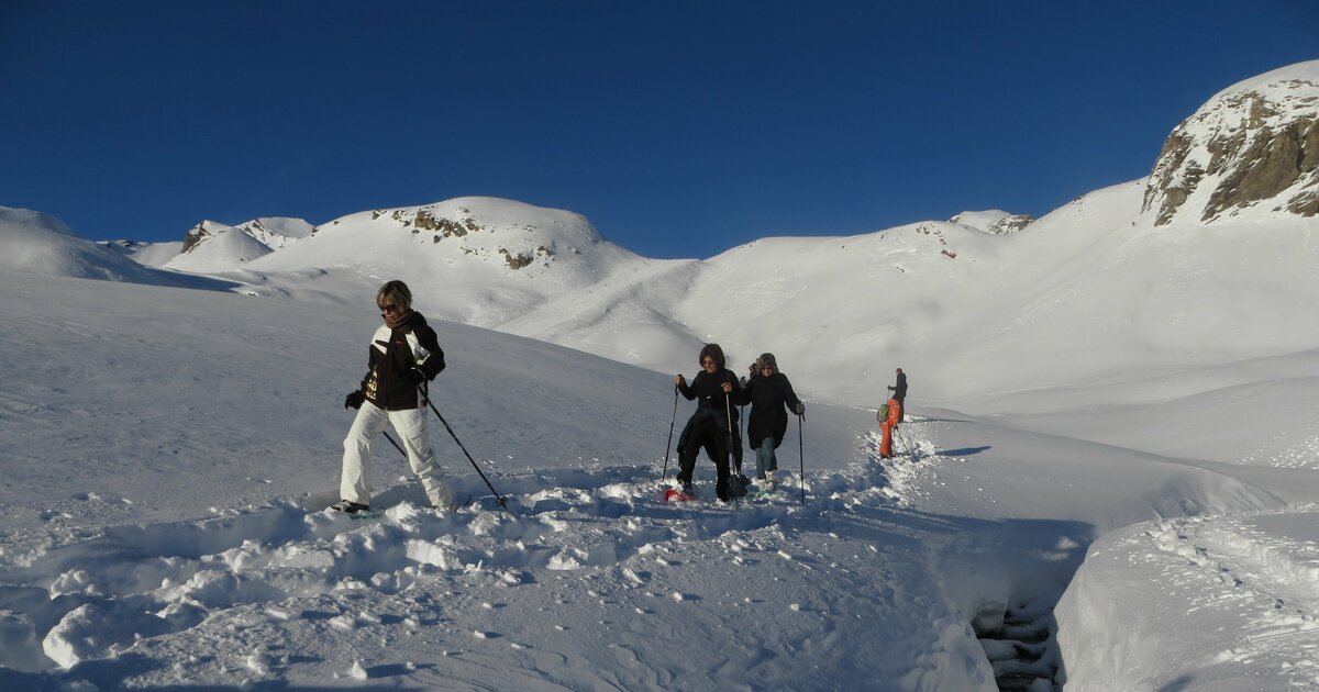 16022023 Grand Nord Grand Angle Accompagnateurs En Montagne Du Champsaur 