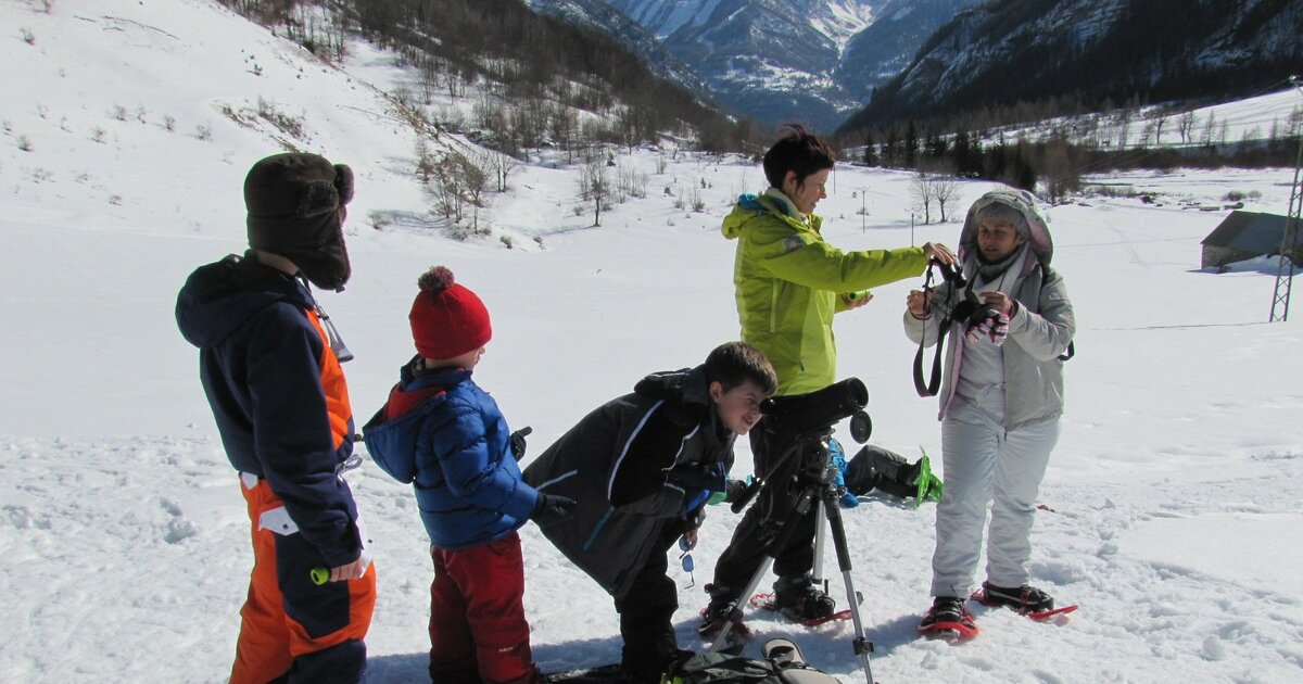 Balade Thématique Accompagnateurs En Montagne Du Champsaur 